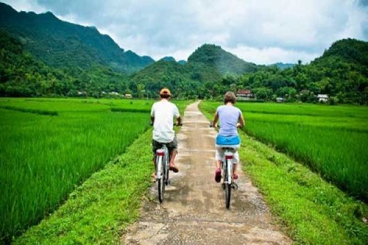 Cinq Dames Amicales De Nourriture De Rue Dans La Ville De Ho Chi Minh