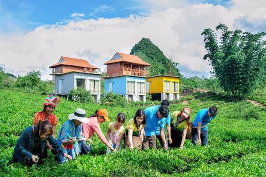 Để khách Tây cuốc đất, cho trâu đi bừa... hướng đi mới của ngành du lịch?