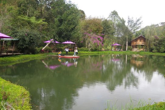 Peace and quiet in lesser-known destinations in Da Lat