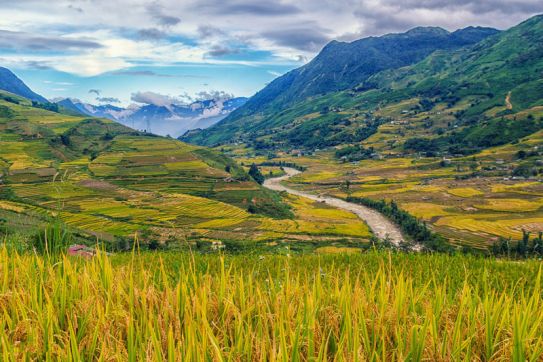 Visiting the beautiful Muong Hoa Valley of Lao Cai