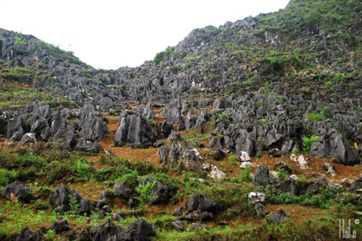 HÀ GIANG - CAO NGUYÊN ĐÁ ĐỒNG VĂN
