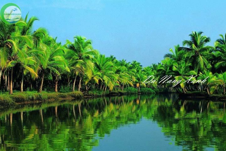 RỪNG DỪA BẢY MẪU – CÂU CÁ